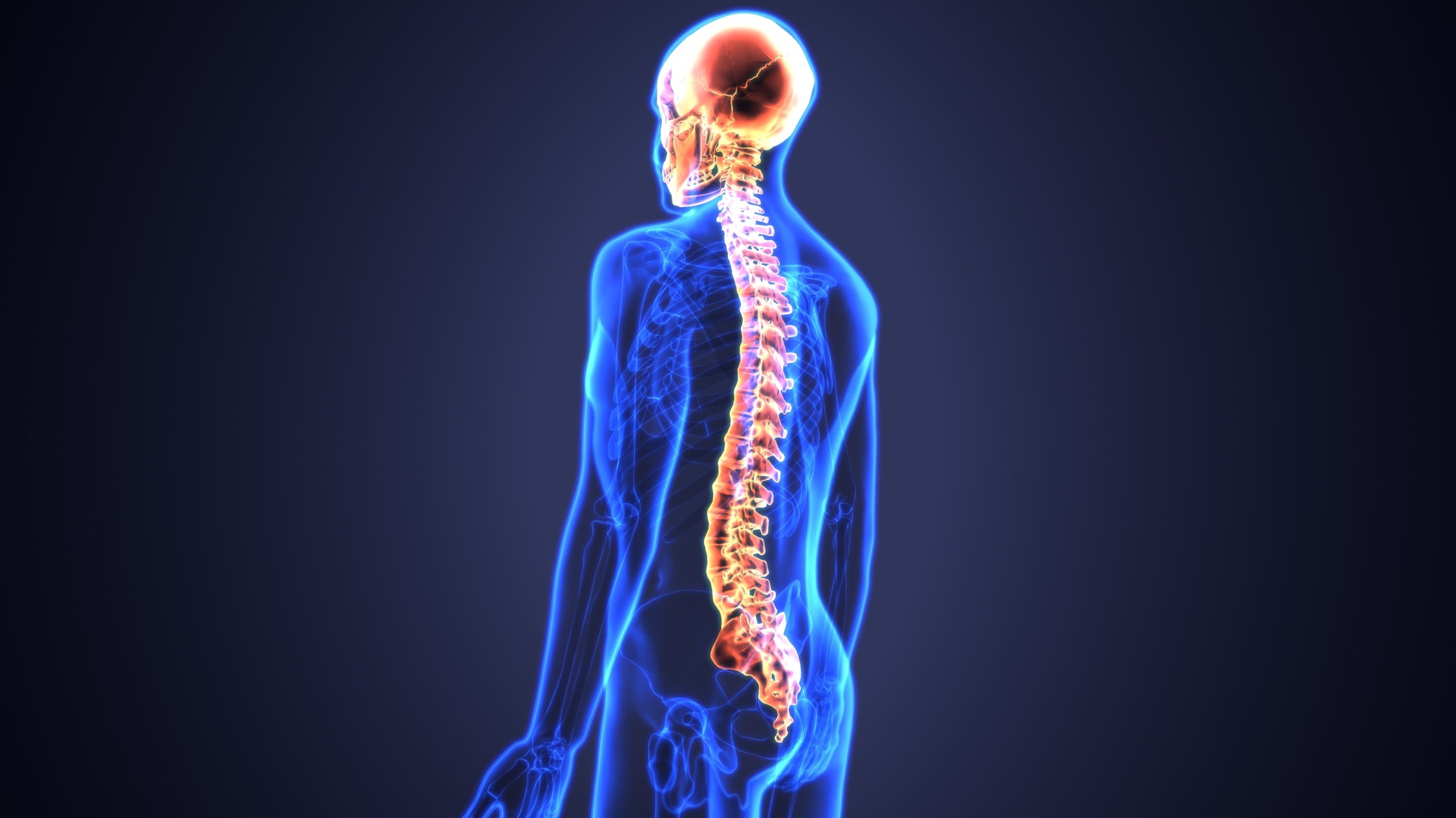 california-spinal-cord-injury-attorneys-bakersfield-spinal-injury-lawyer